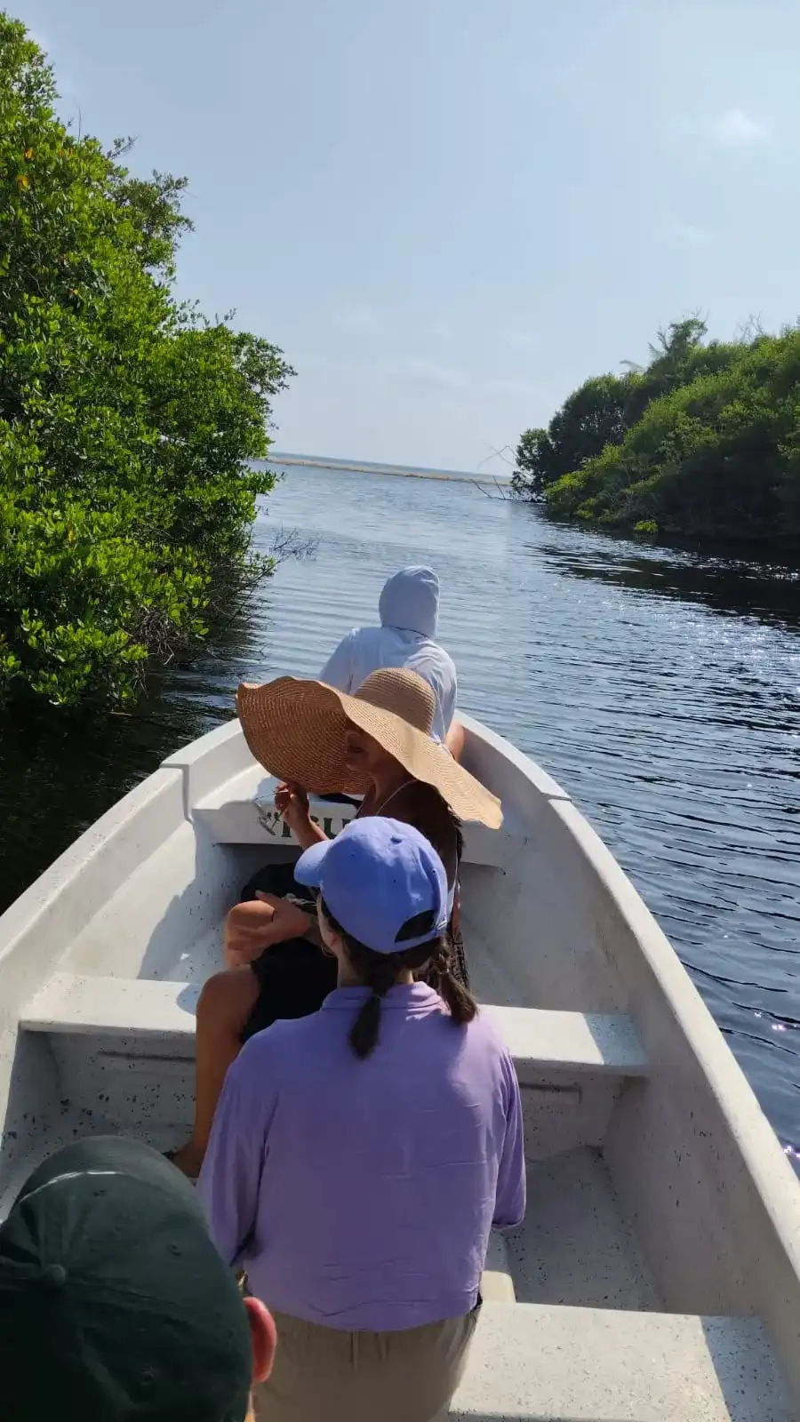 Visitantes con sombrero navegan en lancha por los manglares de Ventanilla