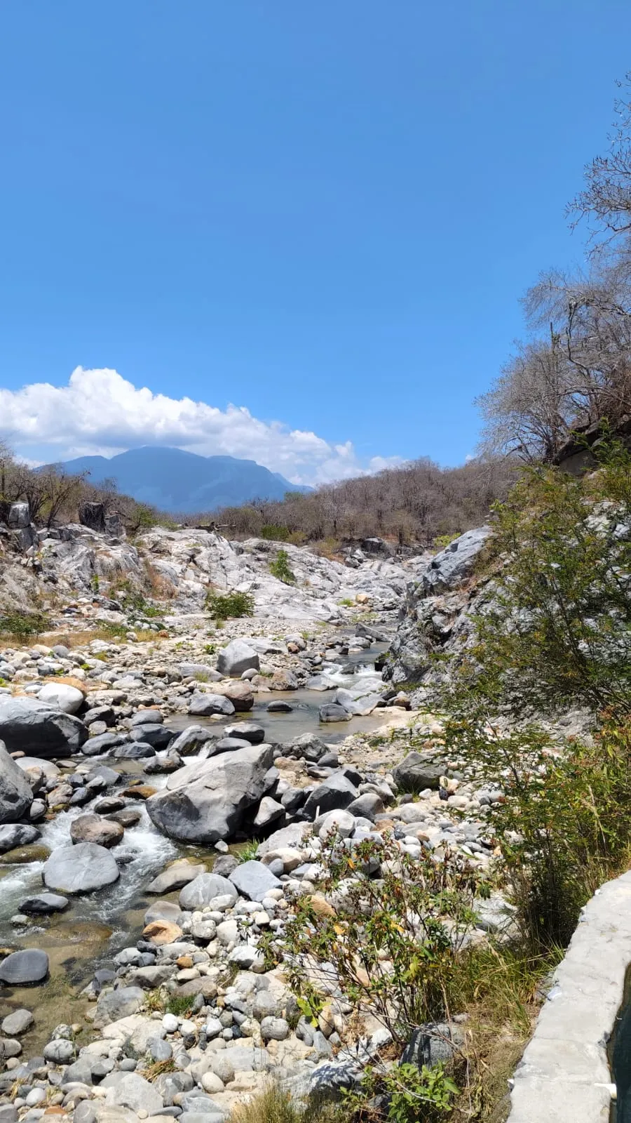 Aguas Termales (3)