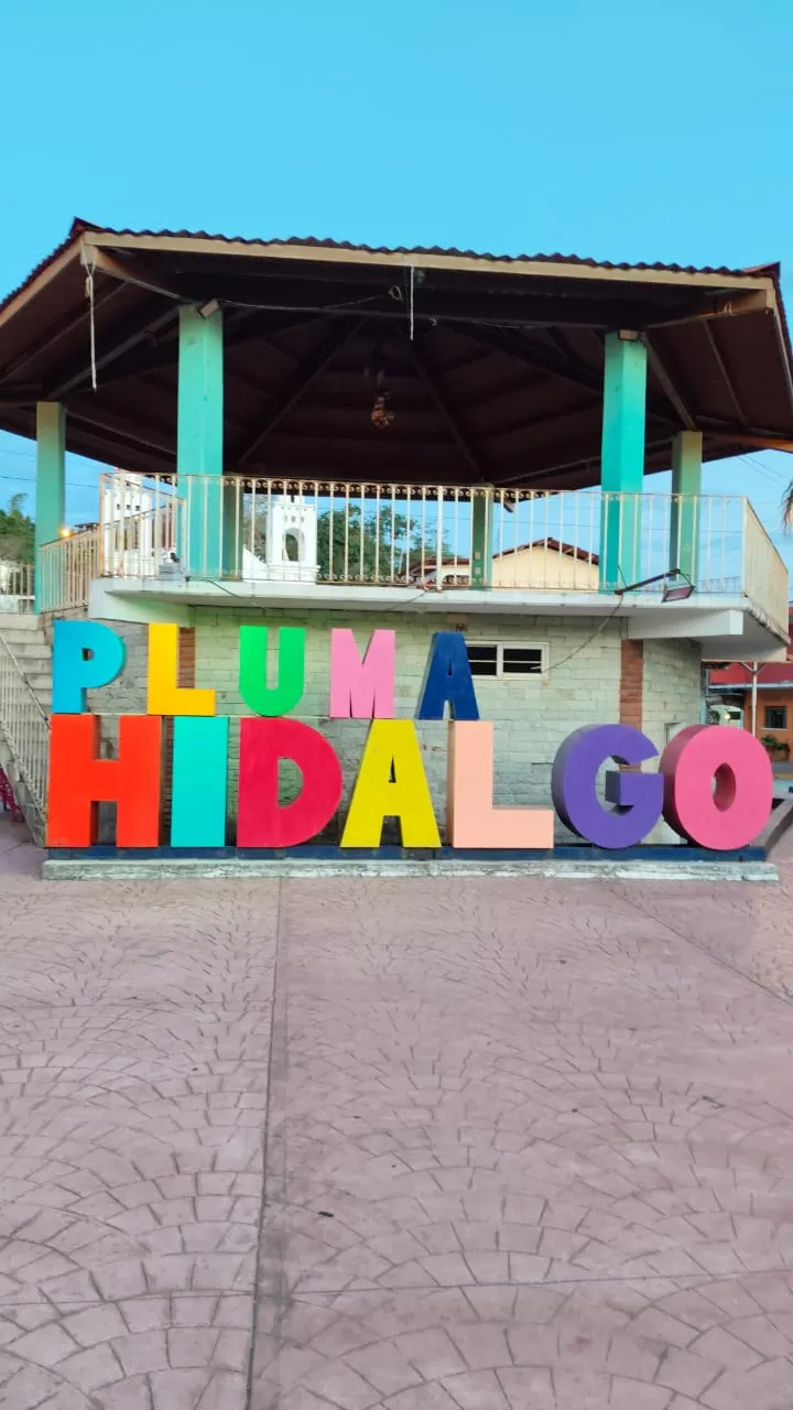Pluma Hidalgo (3)