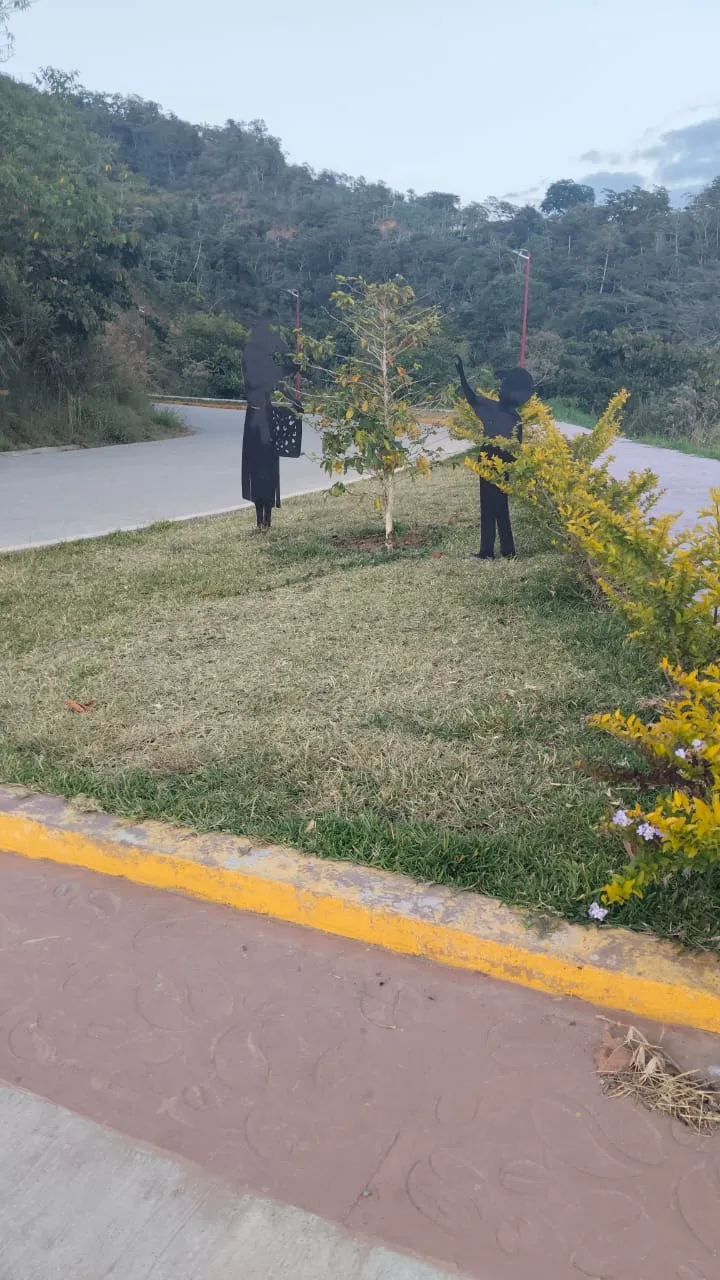 Pluma Hidalgo (7)