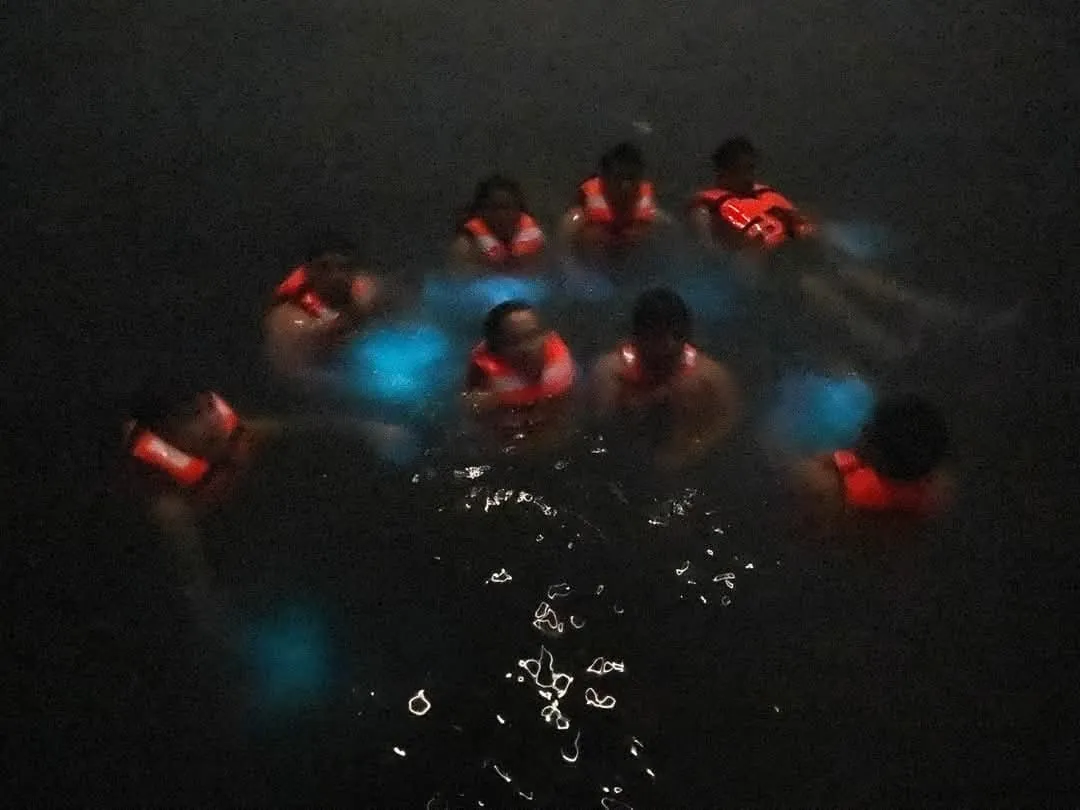 Tour de Bioluminiscencia (1)