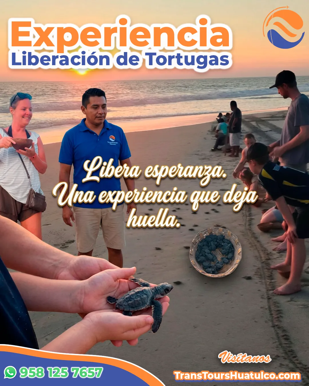 Liberacion-de-tortugas
